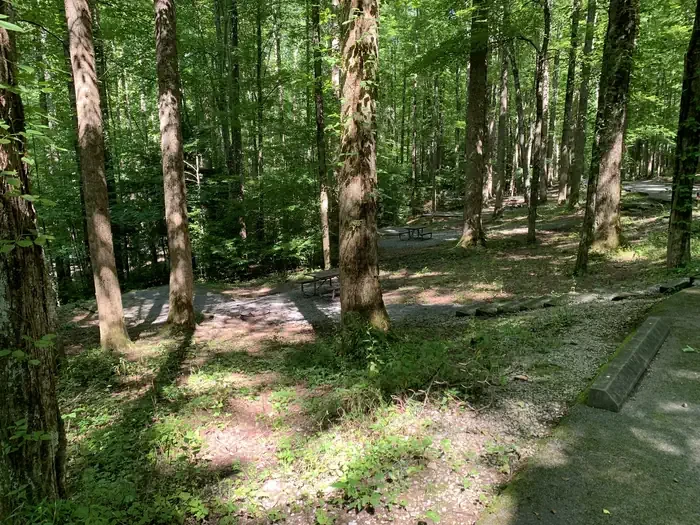 B64