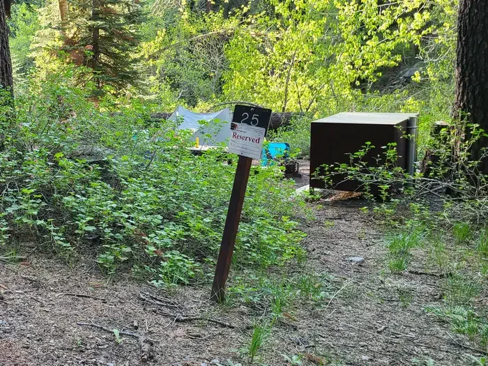 Site: 25