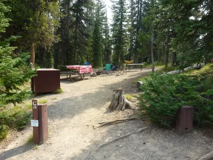 Lewis Lake site #36