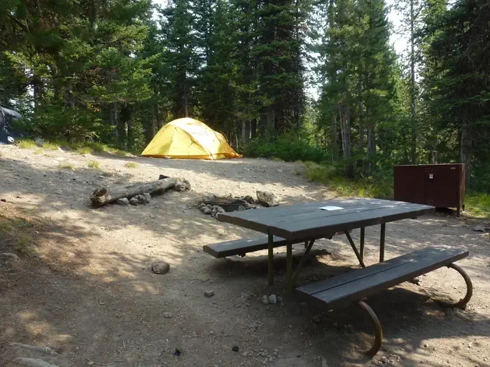 Lewis Lake site #80