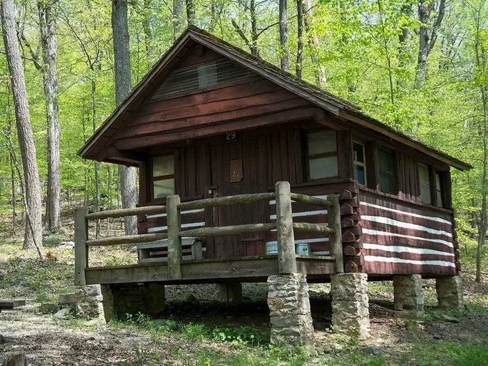 Cabin 29