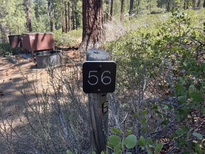 56