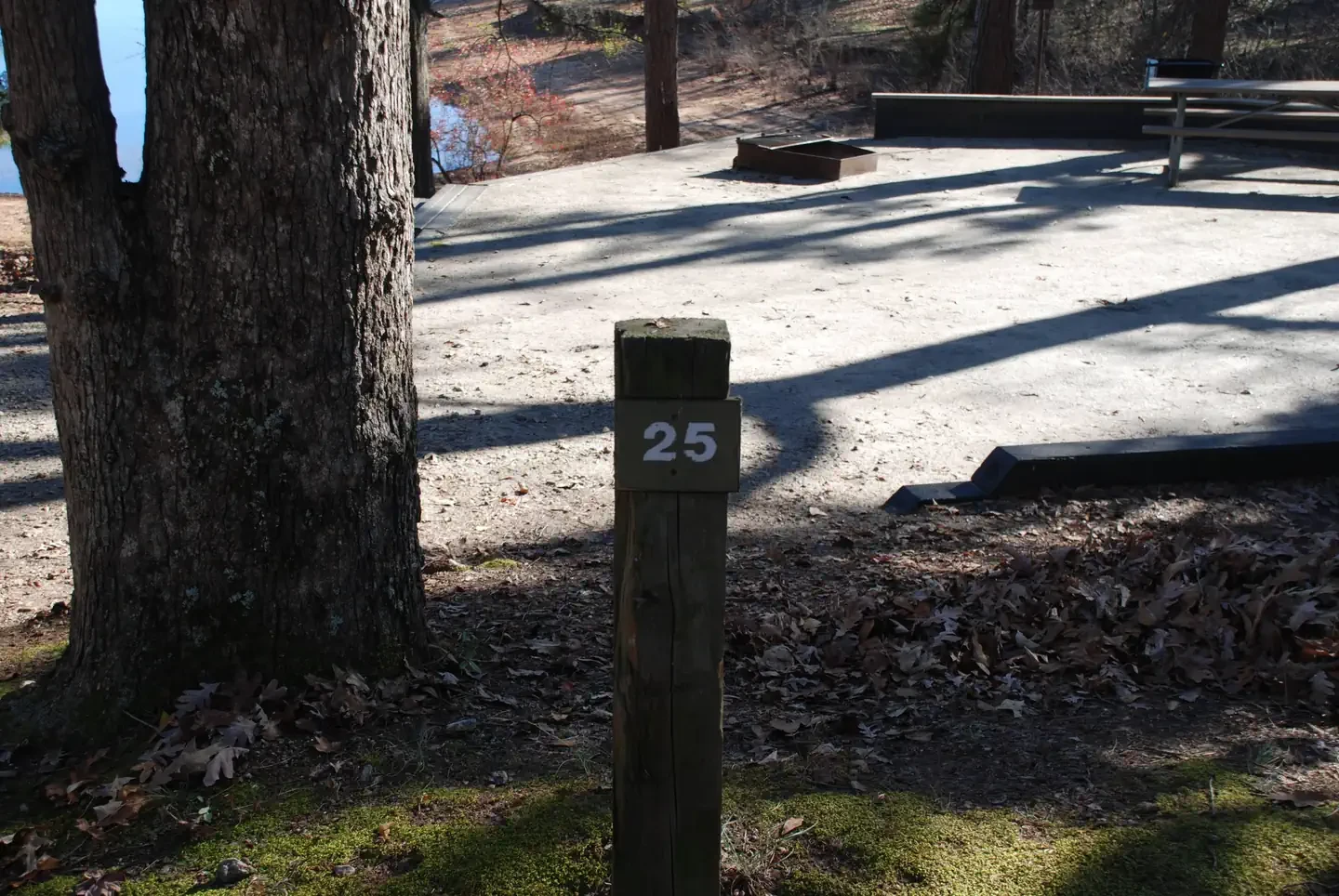 25