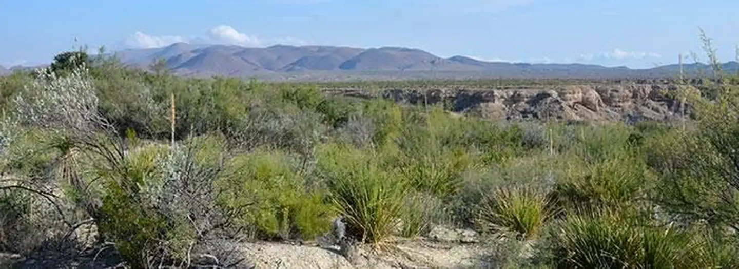 Grapevine Hills 4