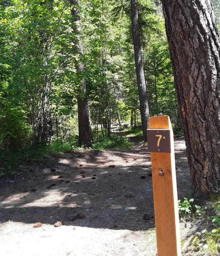 Trout Creek Campground (MT)