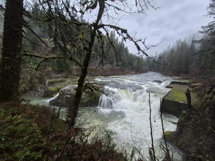 Steamboat Falls Campground