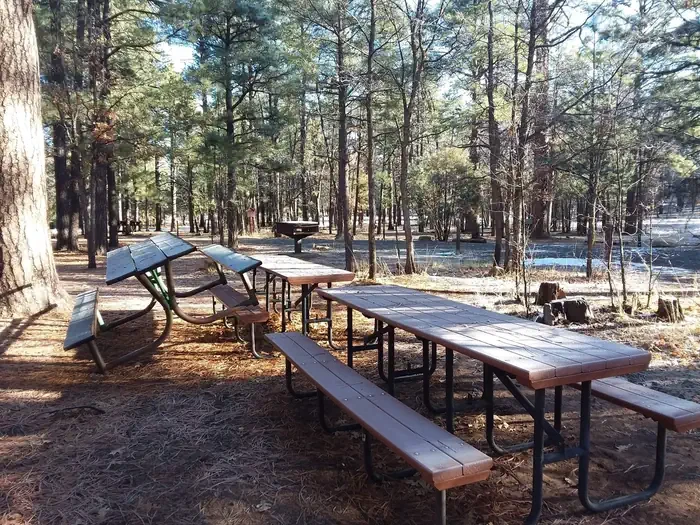 Moqui Group Campground Ernst