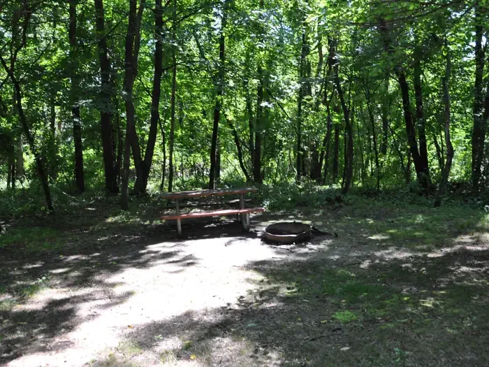 C13