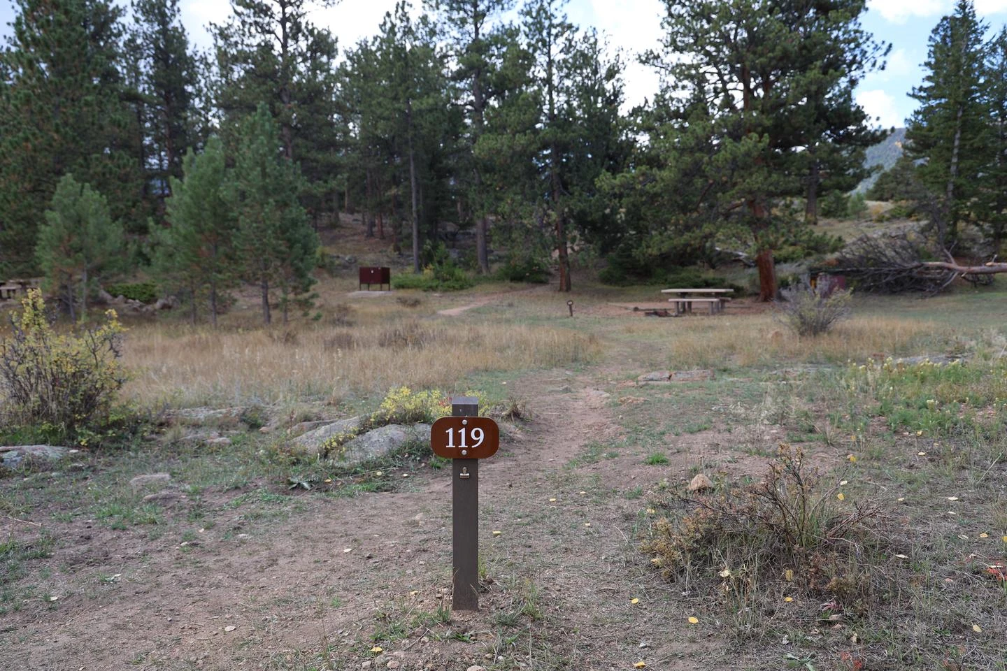 A119