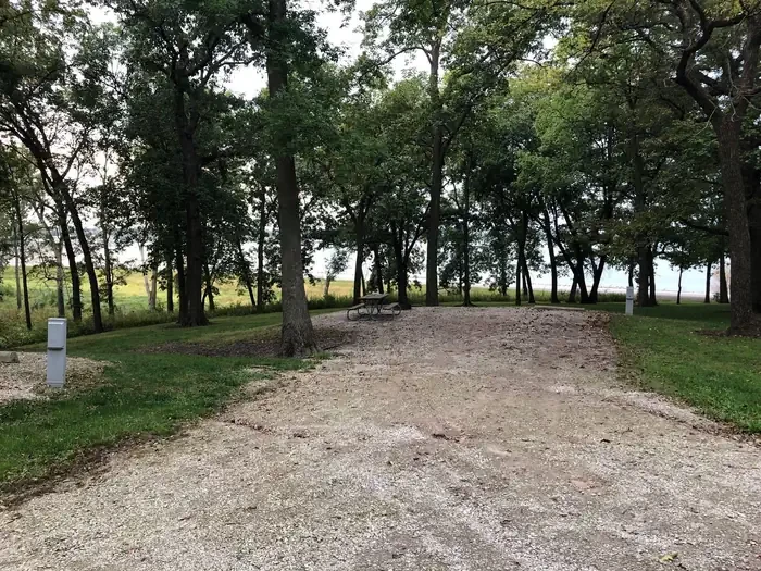 40
