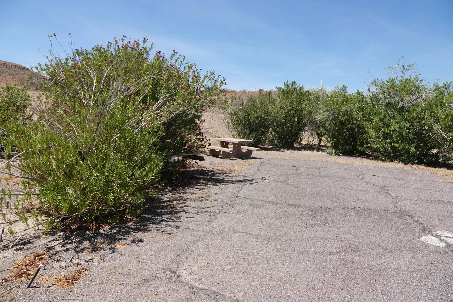 Site 16