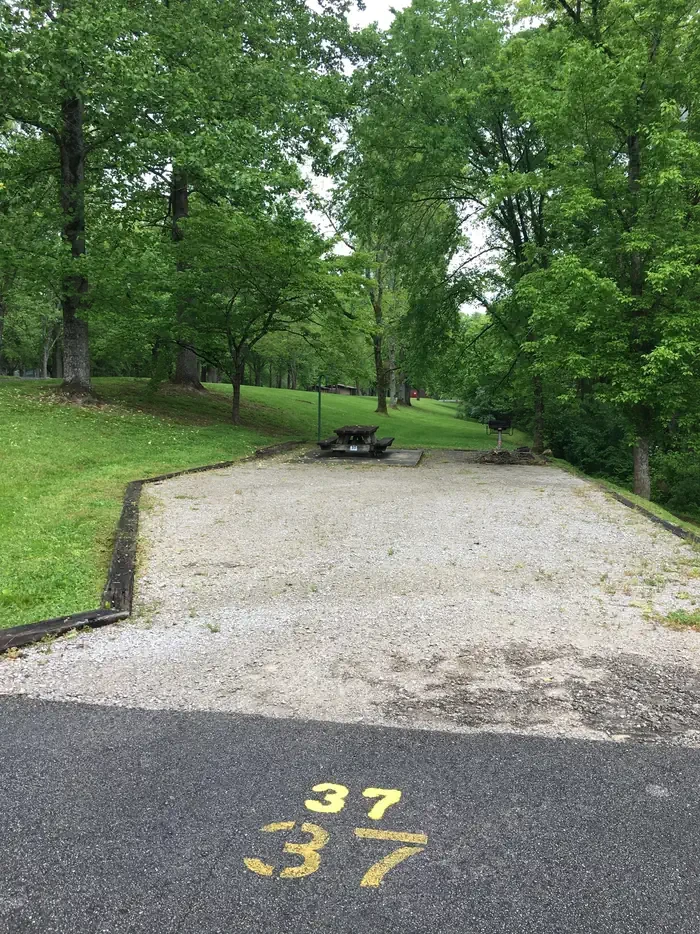 37