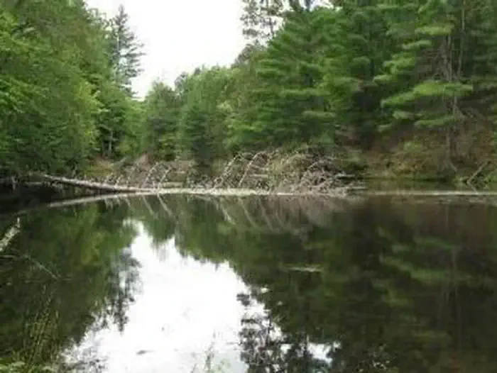 Seaton Creek Campground