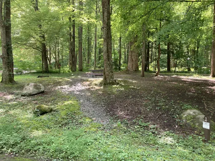 A43