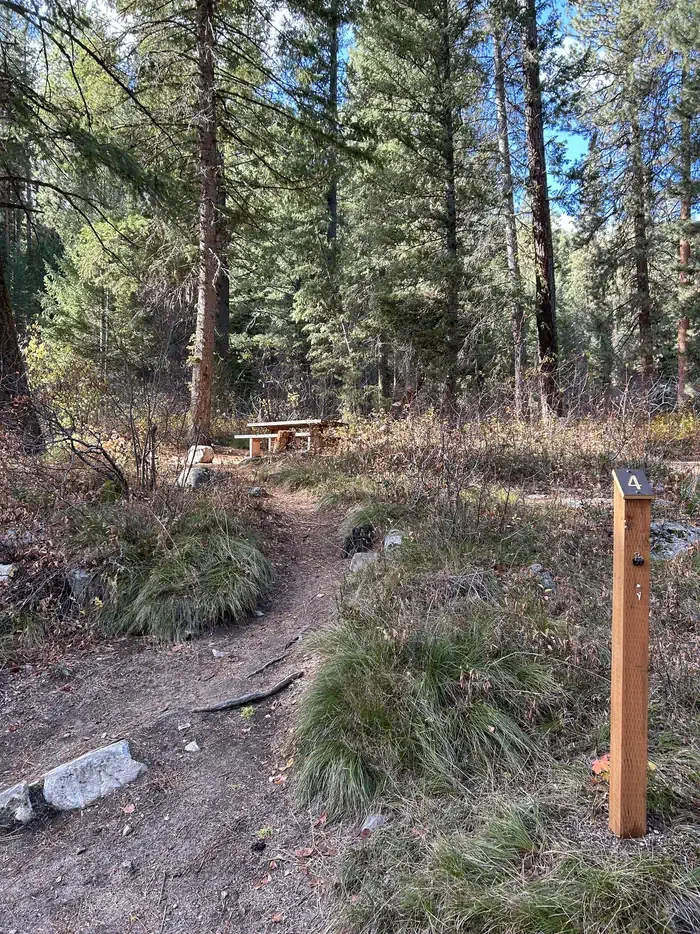 Bad Bear Campground