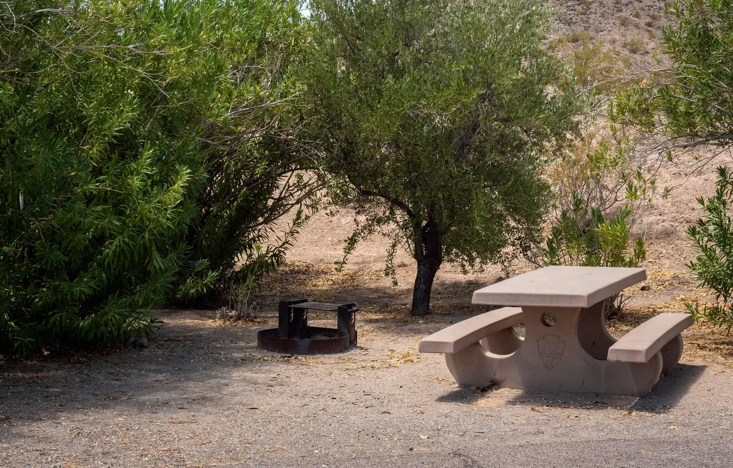 Callville Bay Campground