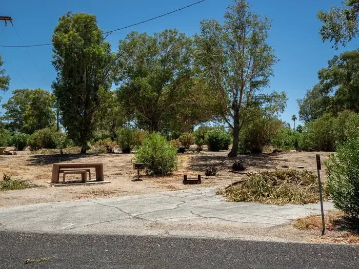 Site 7
