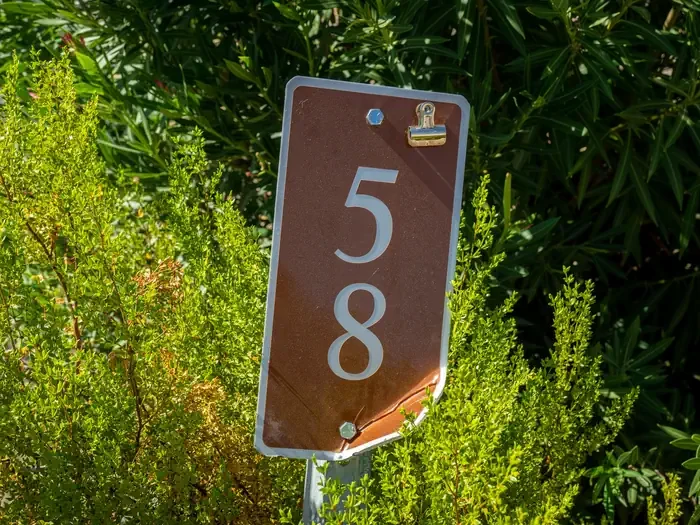 Site 58