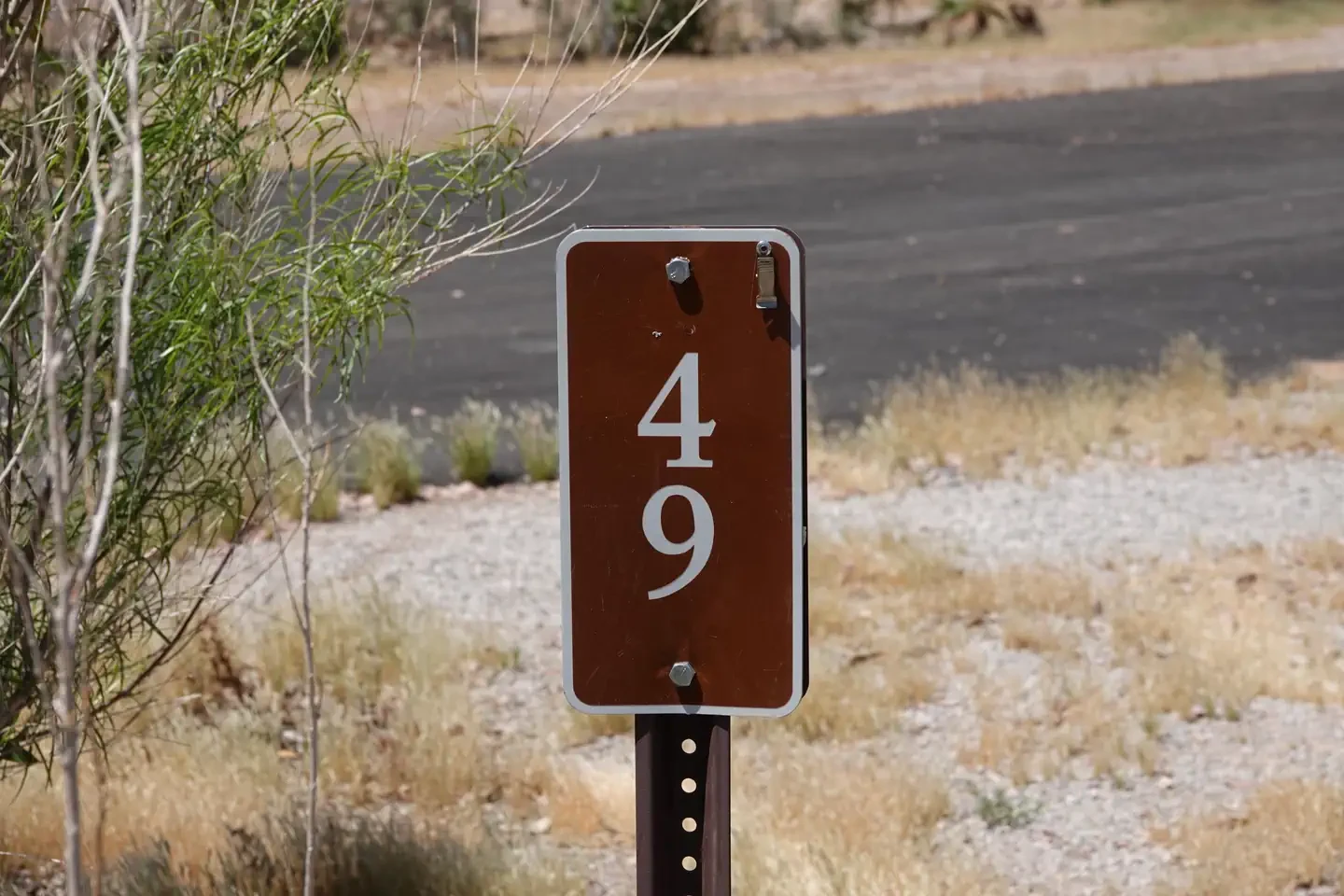 Site 49