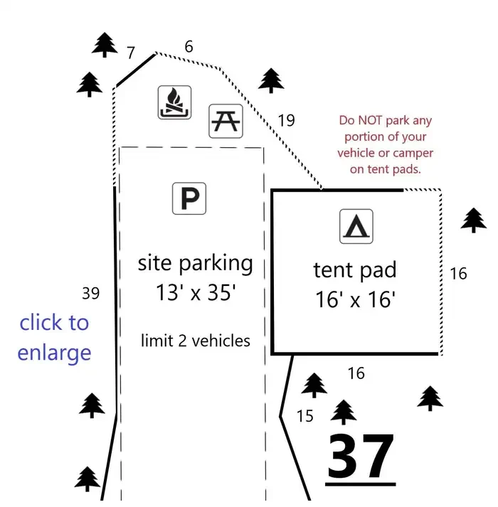37