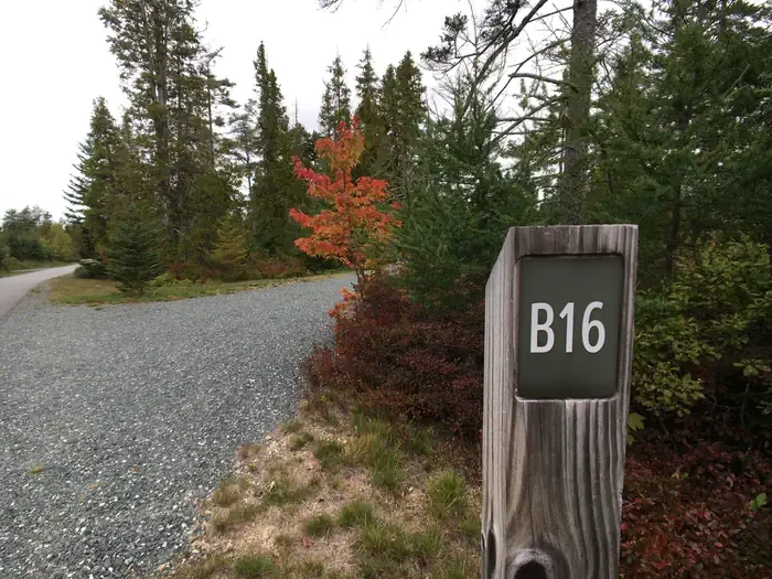 B16