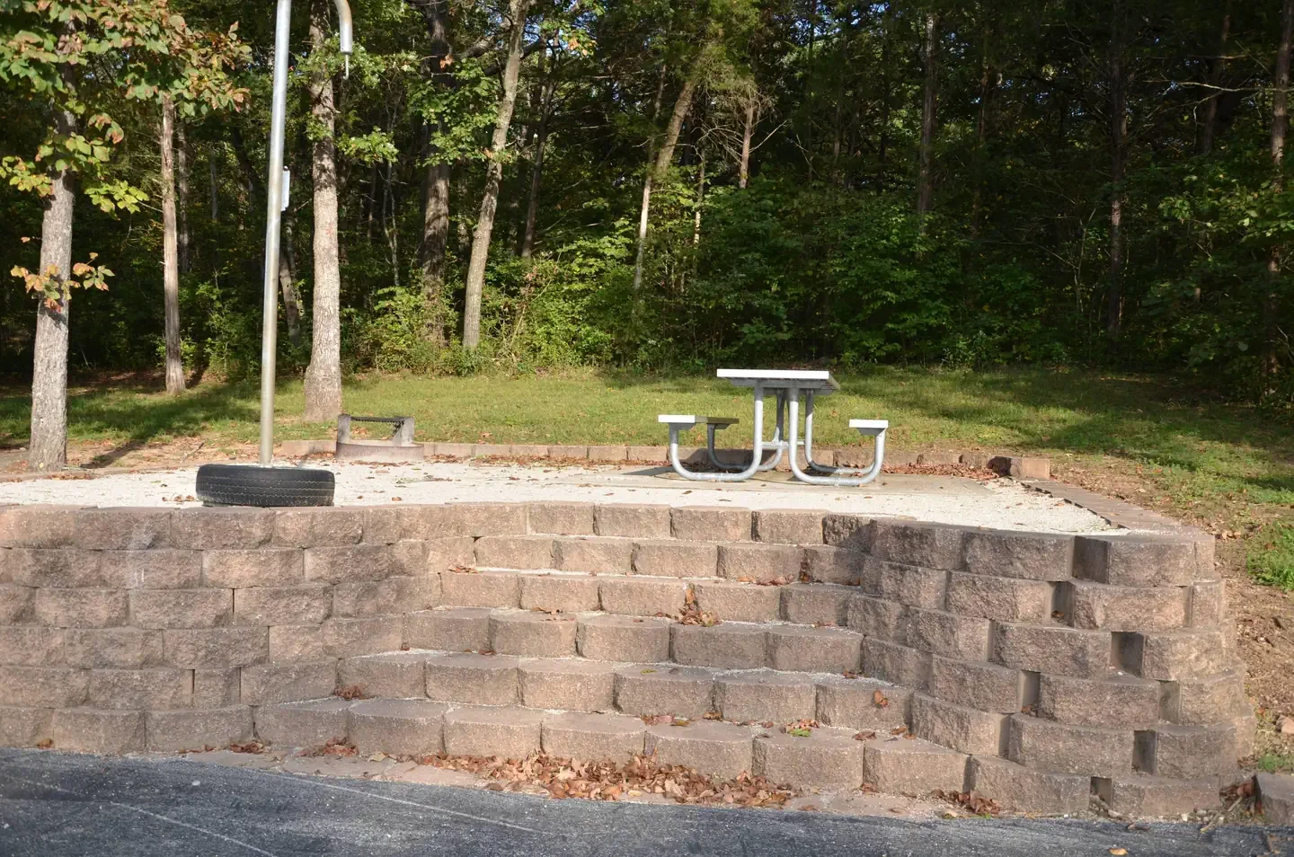 41