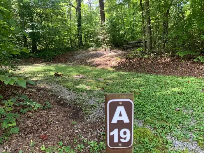 A-19