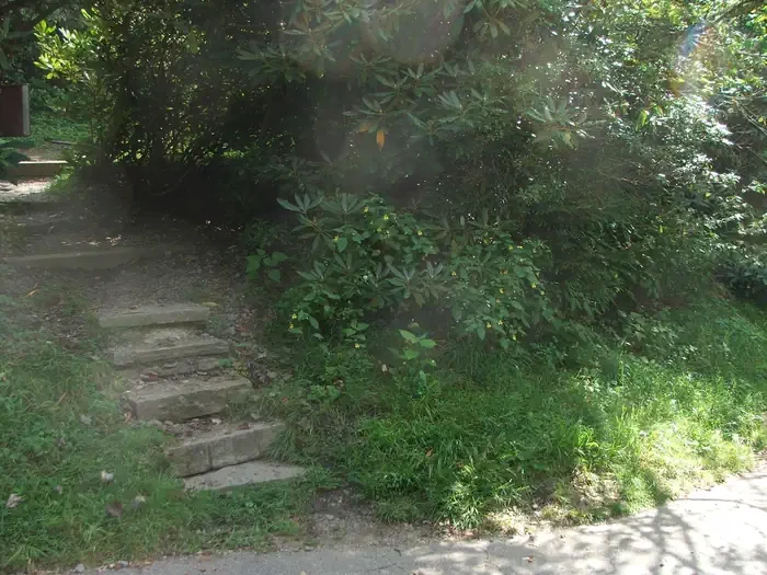 D07
