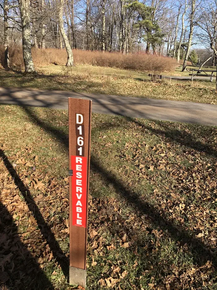 D161