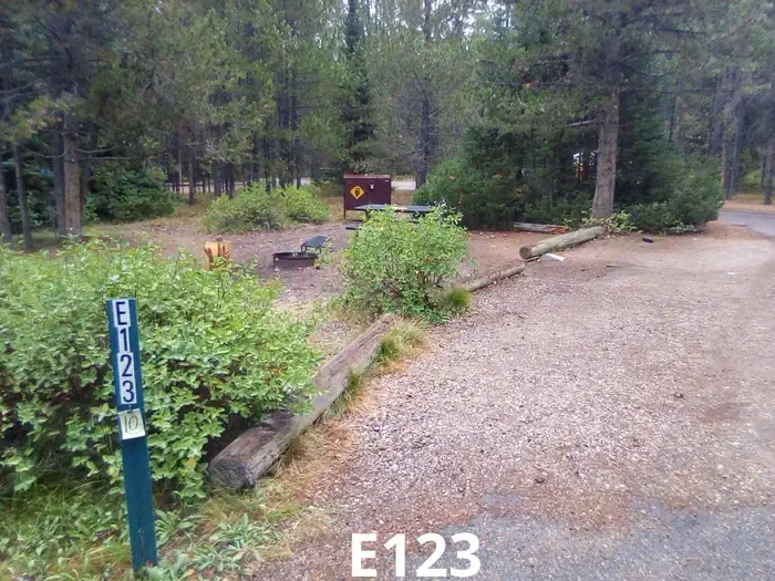 123
