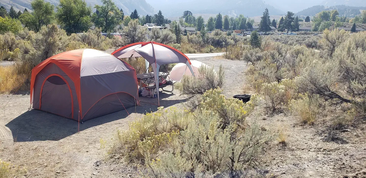 Mammoth site #66