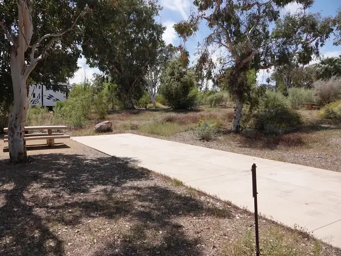 Site 40