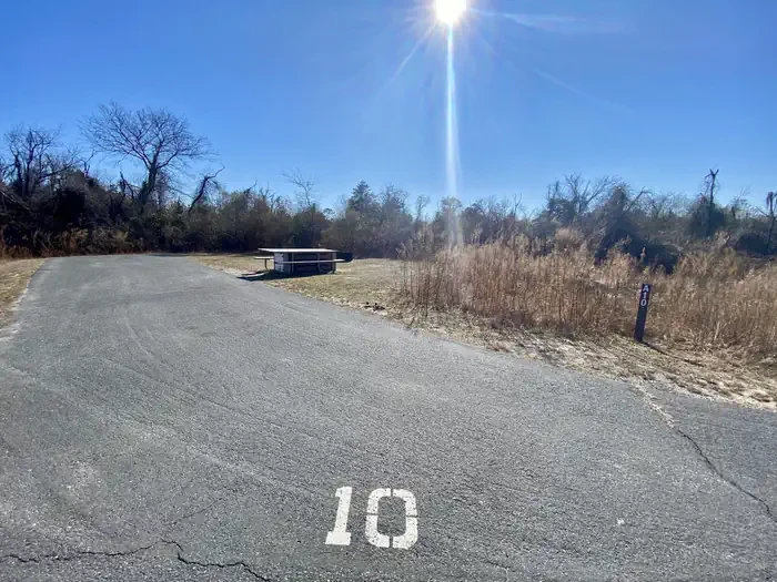 A10