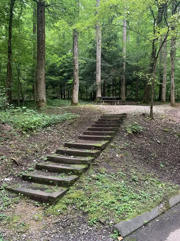 B31