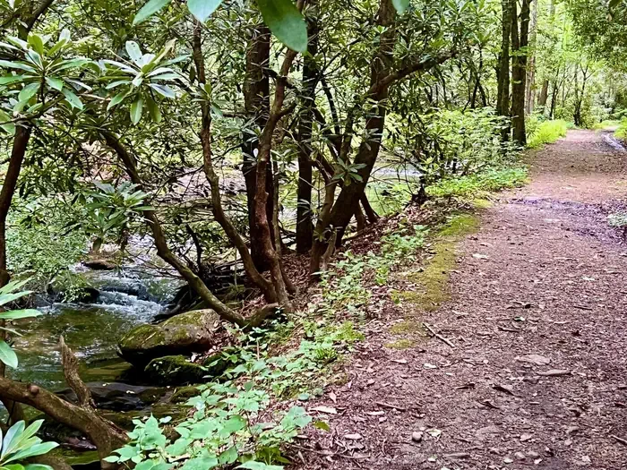 Basin Cove Backcountry Camping