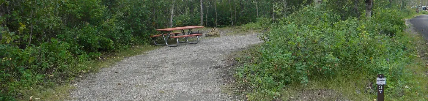 A37