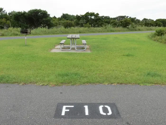 F010