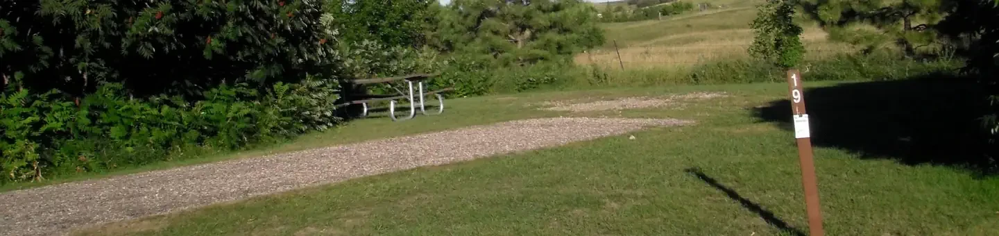 19