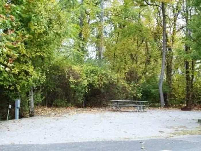 039 Host Site