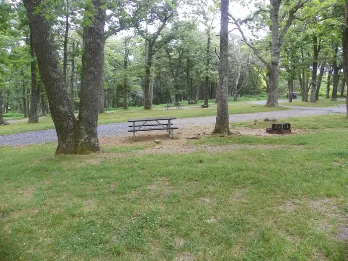 I229