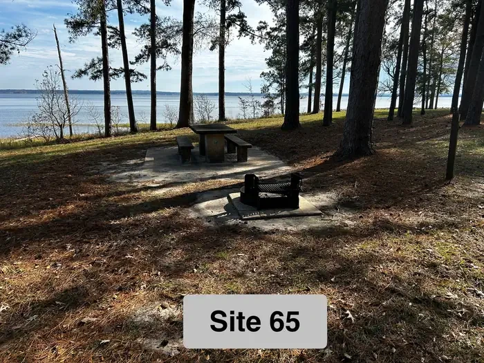 65