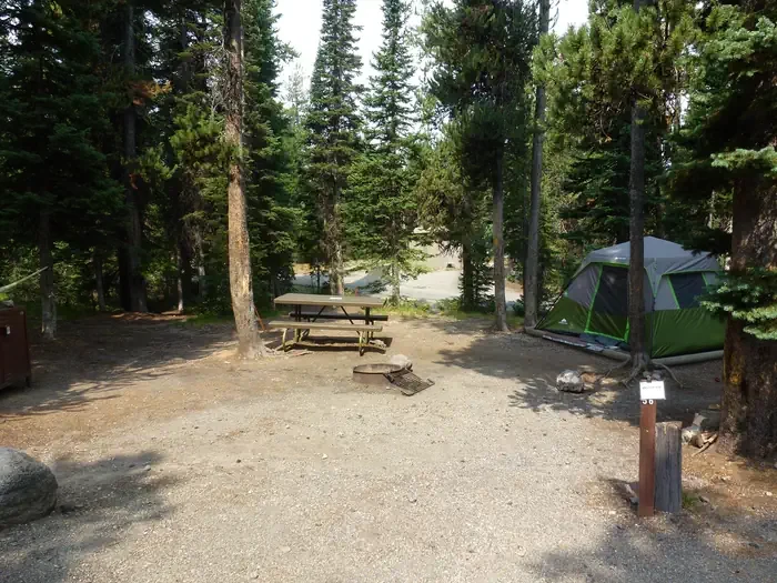 Lewis Lake site #56