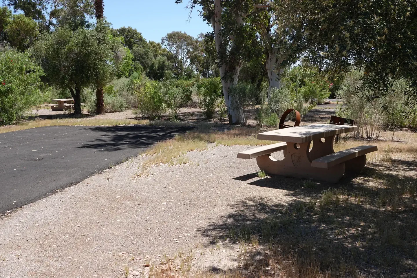 Site 45