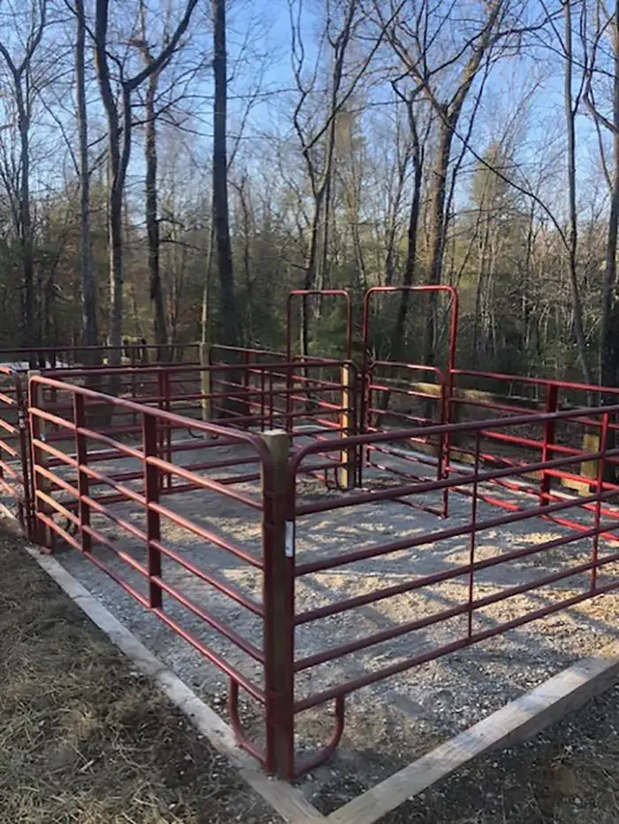 12 (with new paddock)