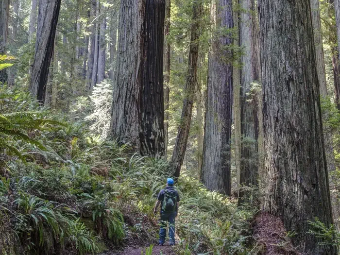 Salmon Pass Trail Docent Guided Hike (Saturday)