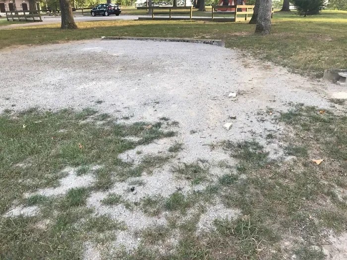 62