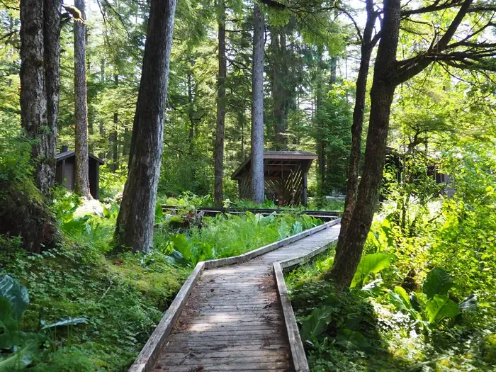 Virginia Lake Cabin