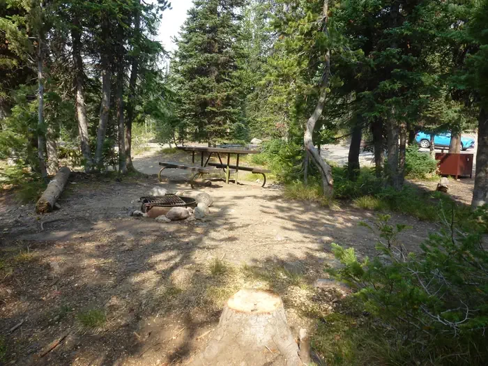 Lewis Lake site #66