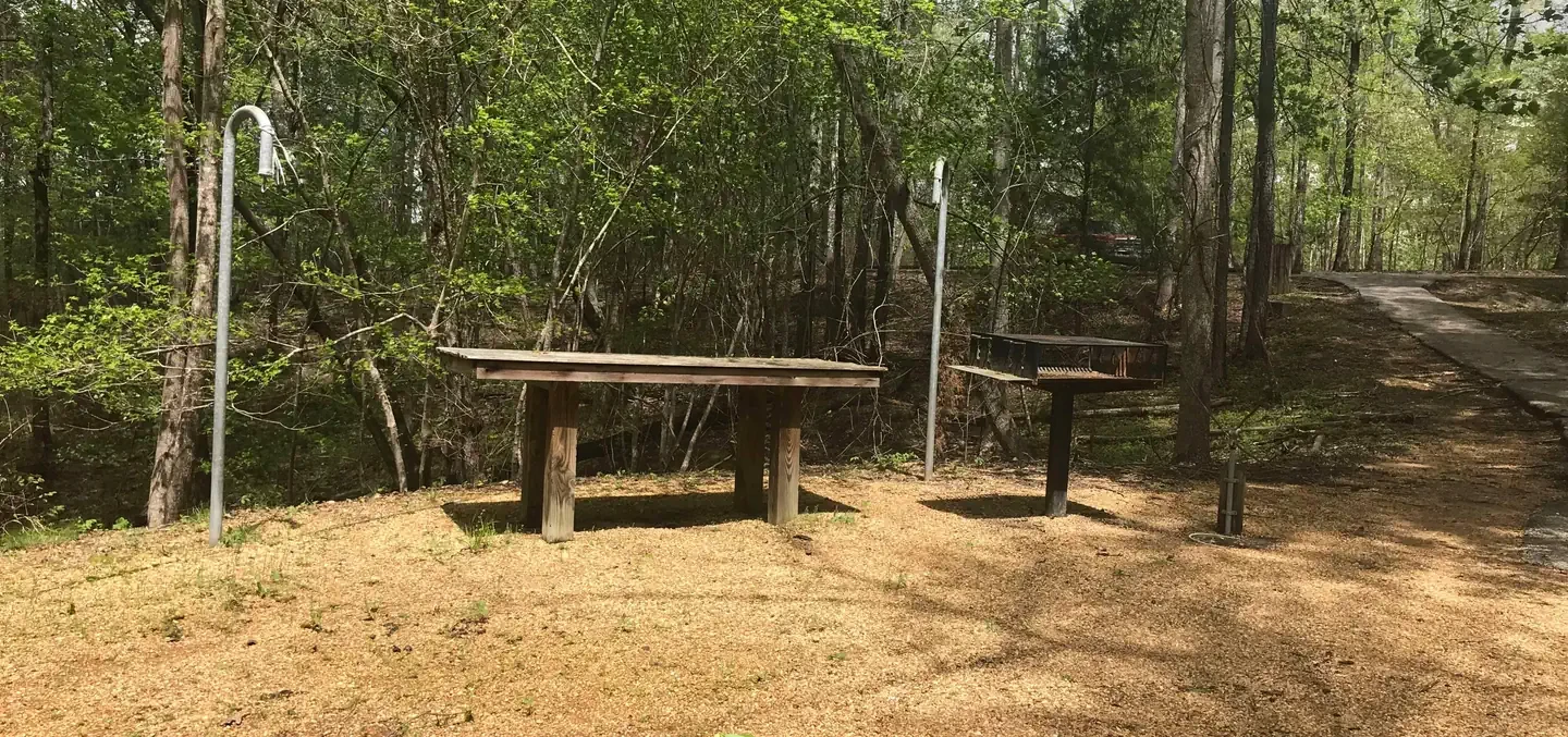 Bent Twig Camp