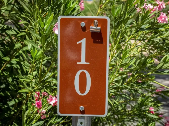 Site 10
